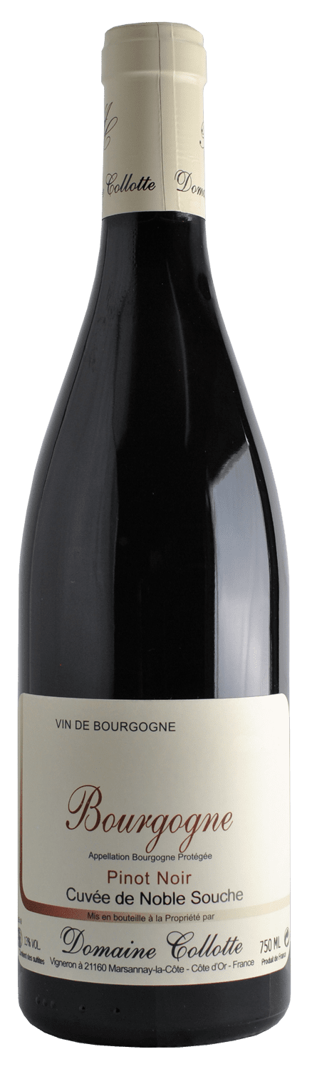 BOURGOGNE Cuvée de Noble Souche - Domaine COLLOTTE à Marsannay-la-Côte