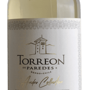 SAUVIGNON Rengo - Valle del Cachapoal - Domaine TORREON de PAREDES - Chili