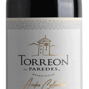 CABERNET-SAUVIGNON Rengo - Valle del Cachapoal - Domaine TORREON de PAREDES - Chili