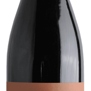 Domaine de COURSAC PINOT NOIR Igp Cévennes - David CODOMIE vigneron